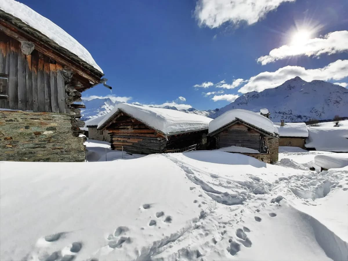 Découvrez le programme d'hiver 2024/25